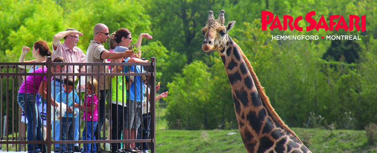 À propos du Parc Safari À propos du Parc Safari