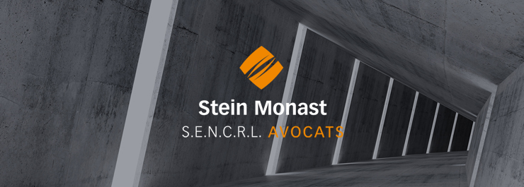 À propos de Stein Monast