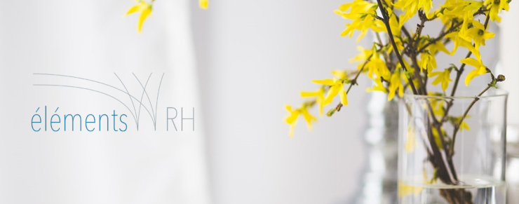 À propos d'éléments RH À propos d'éléments RH