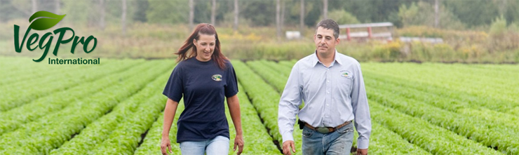 Offre d'emploi de VegPro Offre d'emploi de VegPro